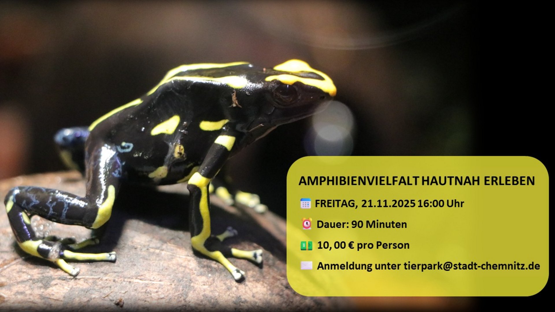 Veranstaltungshinweis Einblick ins Vivarium (C) Jan Klösters